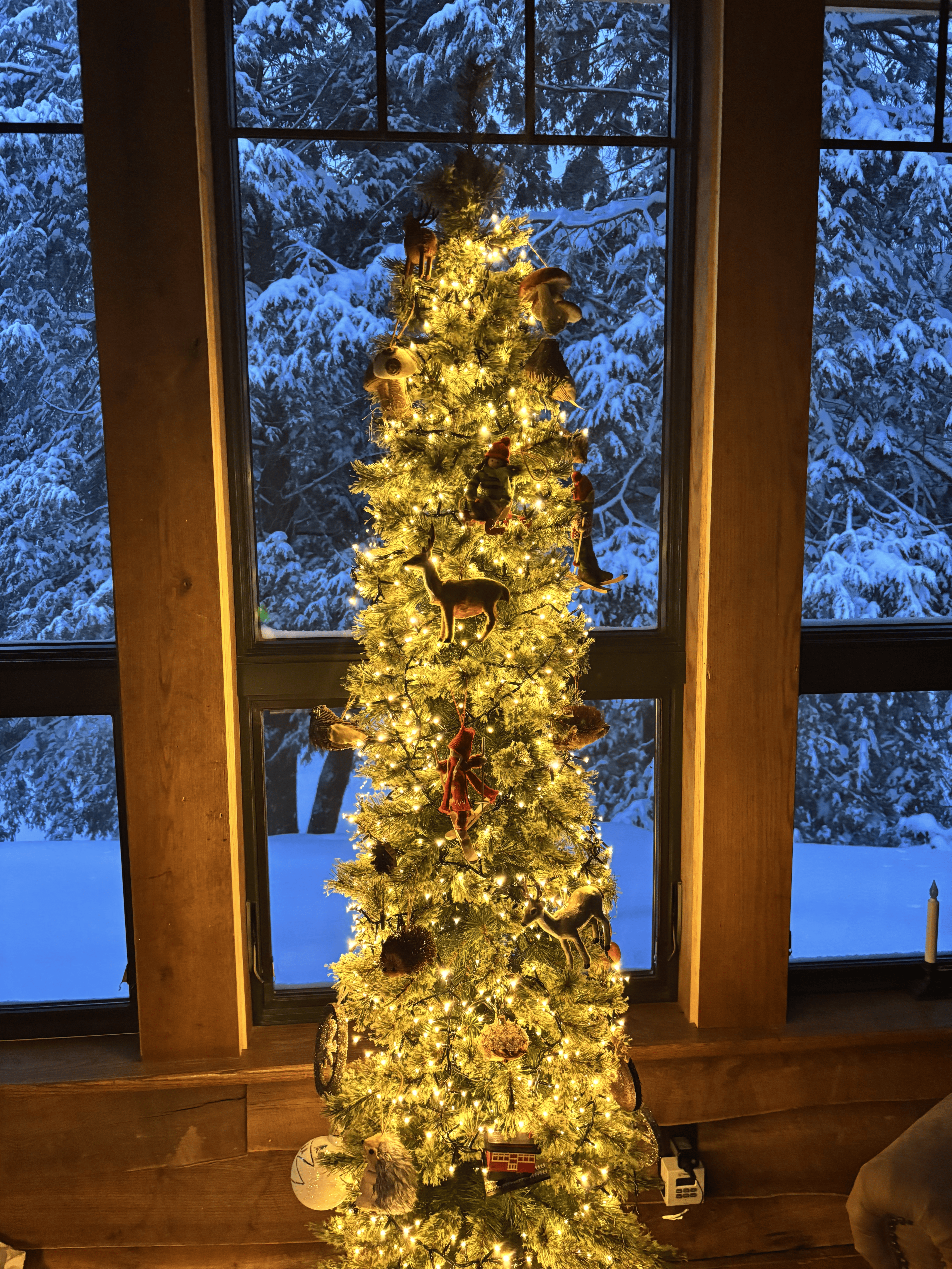 christmas tree